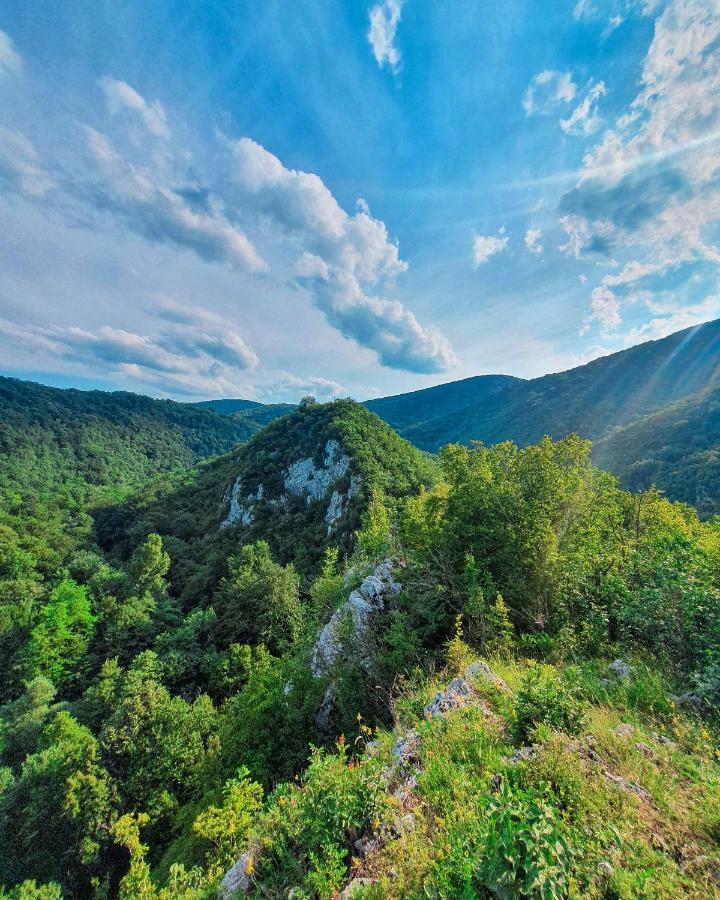 Restoran Sa Prenocistem Gornjak Krepoljin Kültér fotó