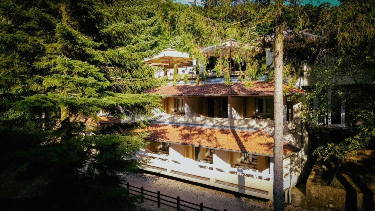 Restoran Sa Prenocistem Gornjak Krepoljin Kültér fotó
