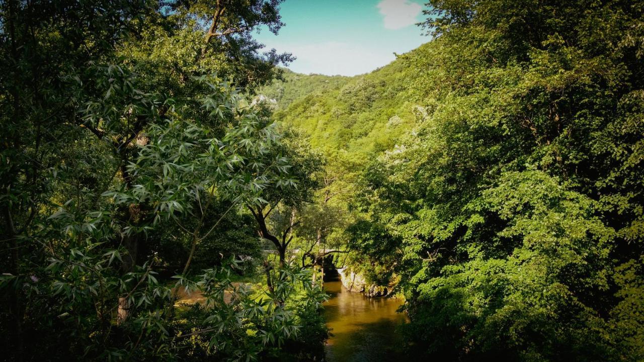 Restoran Sa Prenocistem Gornjak Krepoljin Kültér fotó